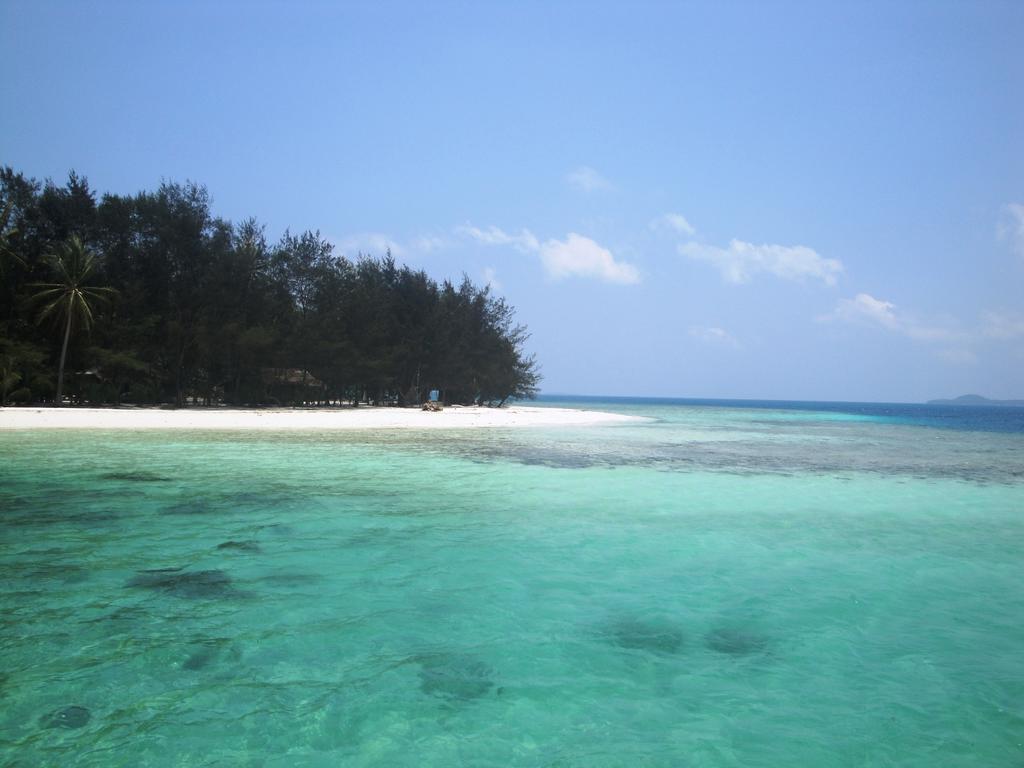 Menjangan Resort การีมุนยาวา ห้อง รูปภาพ